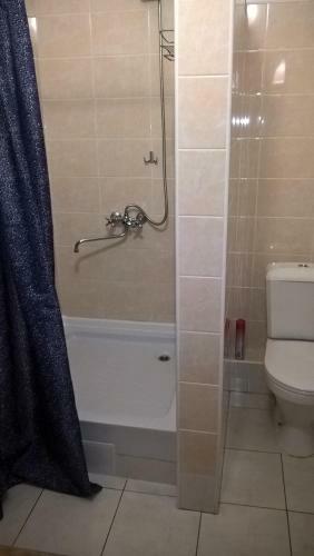 Apartment Svetlana