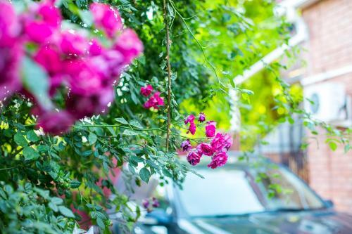 Hostal Guest House Nadezhda