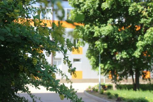 Sanatoriy Ao Bko