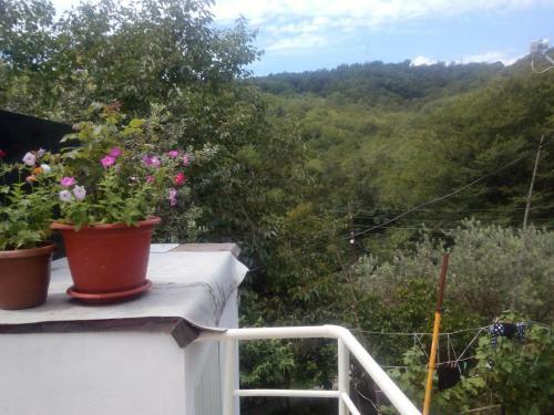 Hostal Guesthouse Gus'-khrustal'nyy