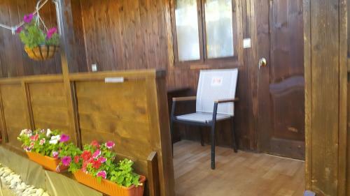 Hostal Guest House Veronika
