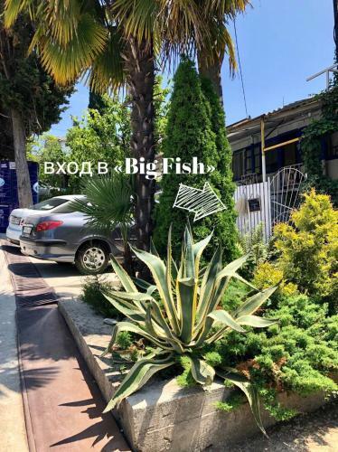 Hostal Guest House Big Fish