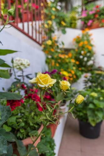 Hostal Guest House Sea Breeze