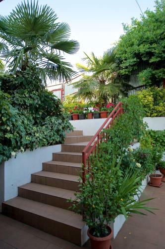 Hostal Guest House Sea Breeze