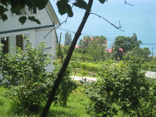 Hostal Alagg Guest House