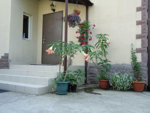 Hostal Villa Gardenia