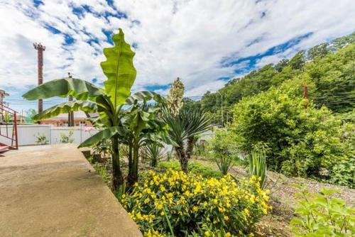 Hostal Guest House Vesna