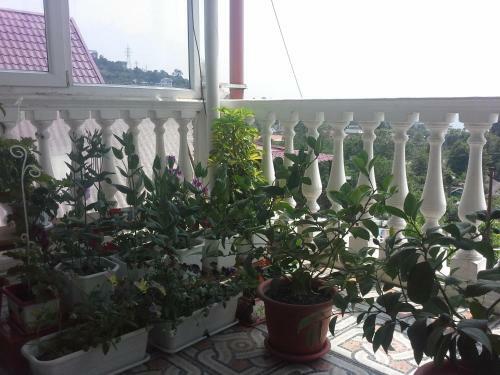 Hostal Prostor Guest House
