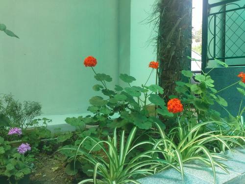 Hostal Prostor Guest House