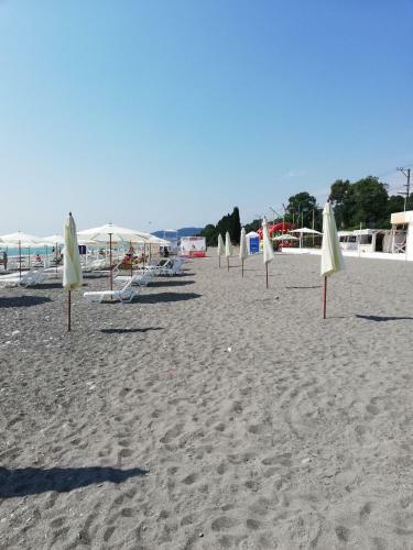 Hostal Guest House Assol