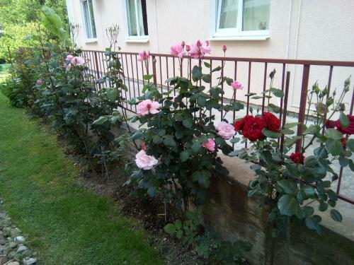 Hostal Yuzhanochka Guest House