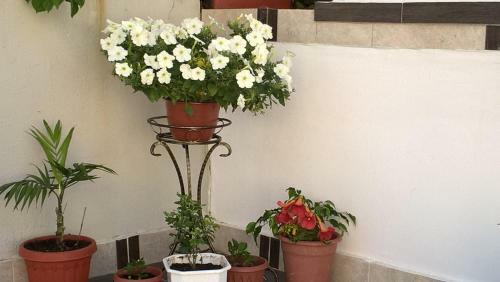 Hostal Volgar Guest House