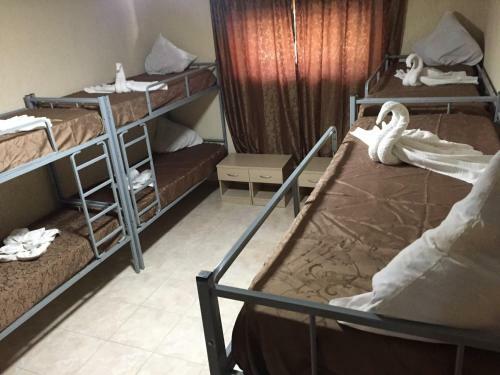 Cosy Hostel On Dekabristov 103b