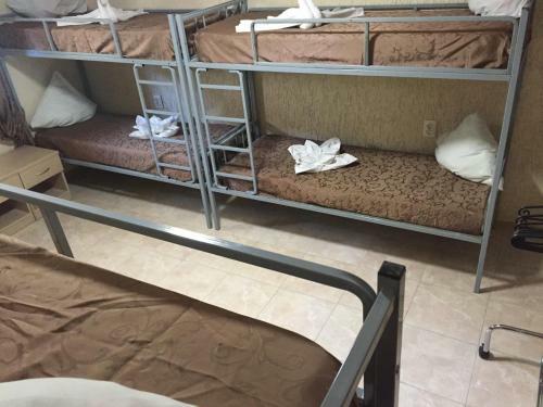 Cosy Hostel On Dekabristov 103b
