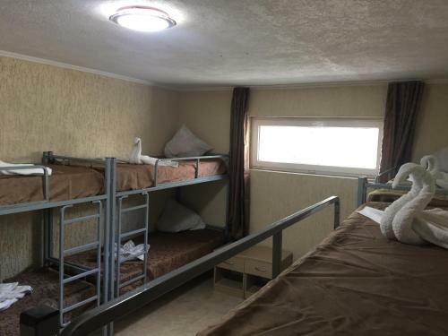 Cosy Hostel On Dekabristov 103b