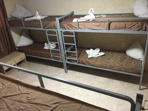 Cosy Hostel On Dekabristov 103b