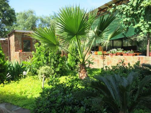 Hostal Dobry Kit Guest House