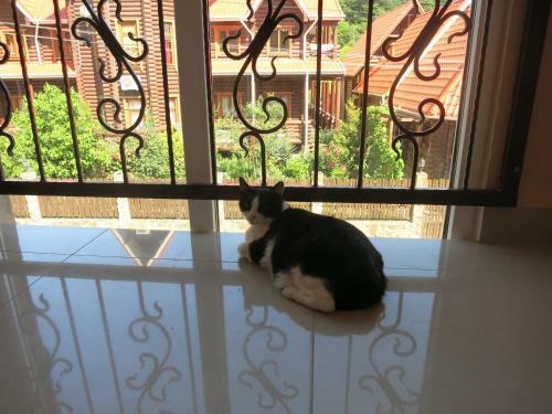 Hostal Dobry Kit Guest House