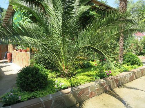 Hostal Dobry Kit Guest House