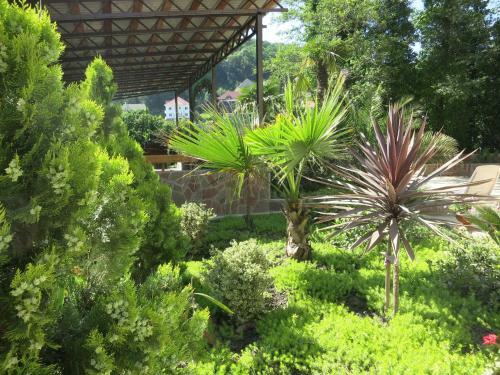 Hostal Dobry Kit Guest House