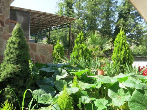 Hostal Dobry Kit Guest House