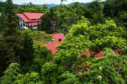 Hotel Sokol Pension