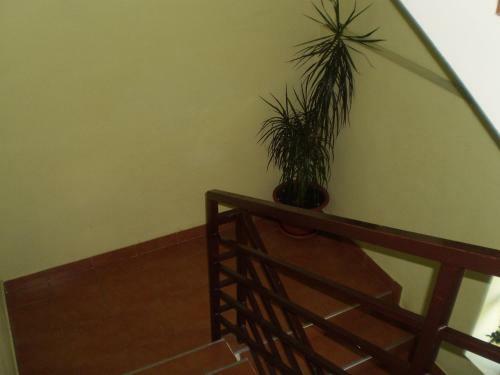 Hostal Guest House Almira
