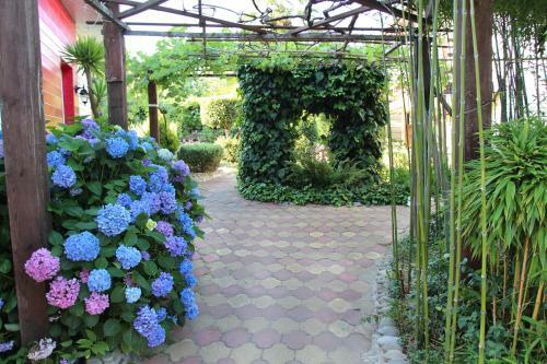 Hostal U Vladimira Guesthouse