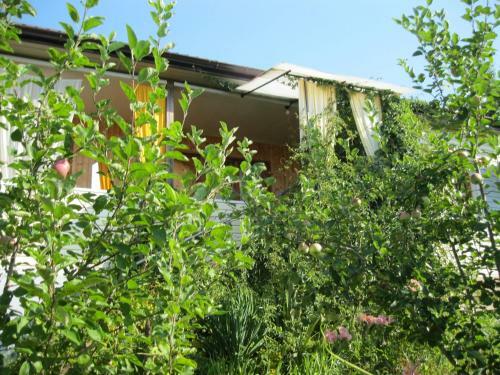 Hostal Dom-cottage Na Druzhby