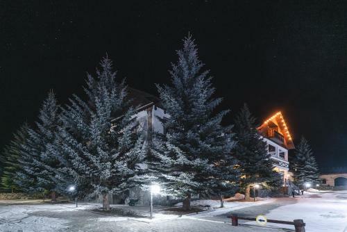 Hotel Usengi