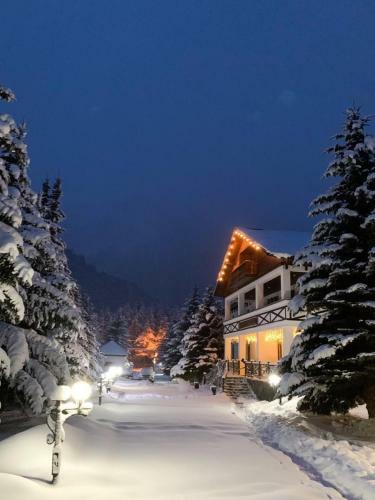 Hotel Usengi