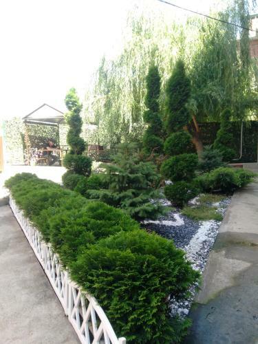 Hostal Guest House Uyt