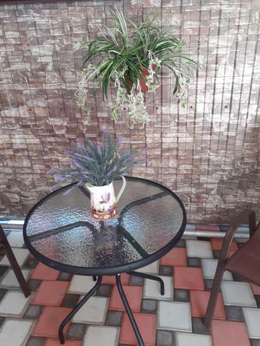 Hostal Guest House Uyt