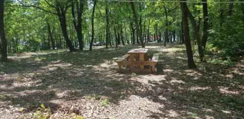 Camping Gorizont