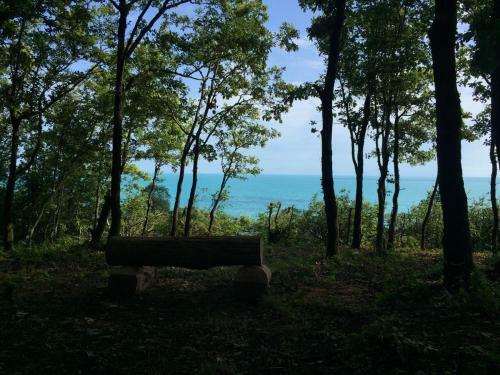 Camping Gorizont
