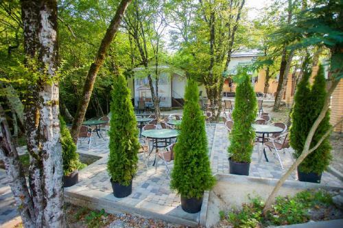 Hotel Baza Otdiha Viktoriya