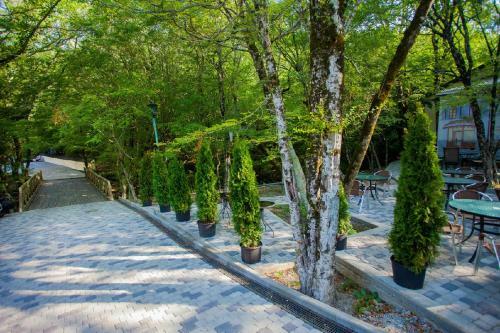 Hotel Baza Otdiha Viktoriya