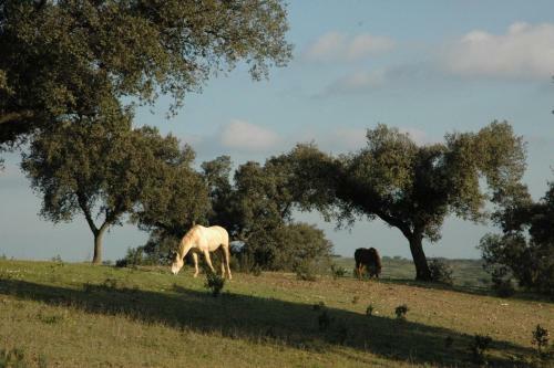 Hostal Herdade Do Monte Outeiro - Turismo Rural