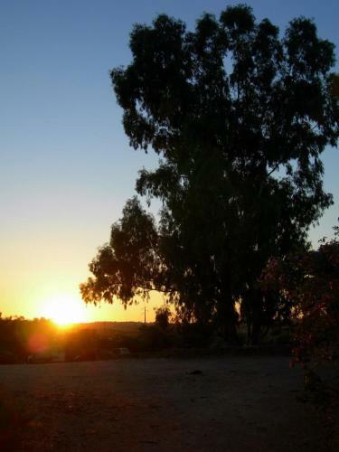 Hostal Herdade Do Monte Outeiro - Turismo Rural
