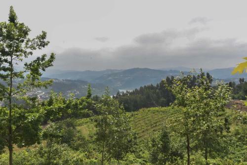 Hostal Quinta De Abol De Baixo