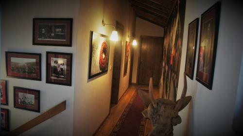 Agroturismo Quintinha D`arga