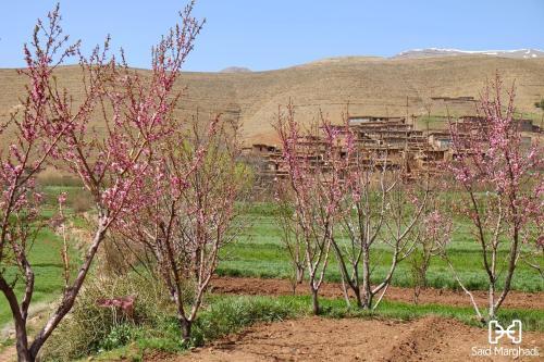 Bed & Breakfast Touda Ecolodge