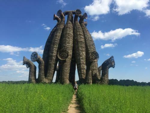 Farm-camping Nikola-lenivets