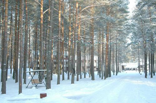 Zagorodniy Hotel Pleskov
