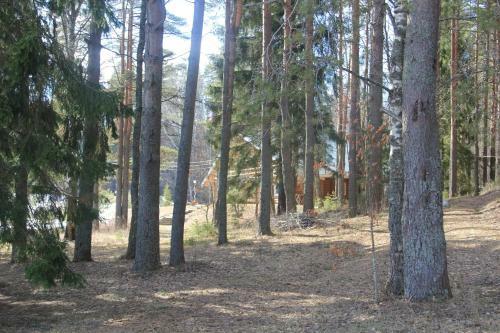 Seliger Cottage