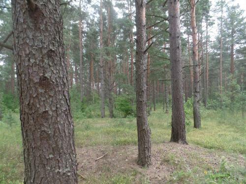 Agroturismo House With Sauna �udacha�