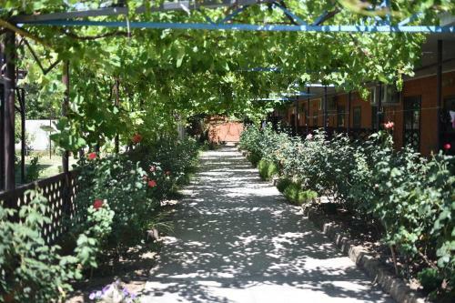 Hostal Pension Mini Wonderful Valley
