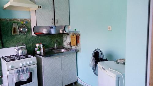 Hostal Guesthouse On Zelenaya 7