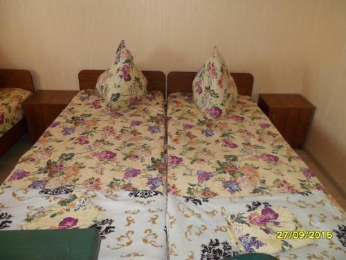 Hostal Guesthouse Pioner