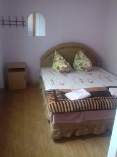 Hostal Guesthouse Pioner